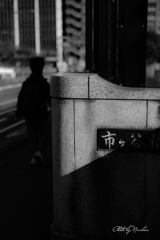 昨日と今日の市ヶ谷の朝-１