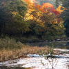 荒川上流、槻川の秋⑥