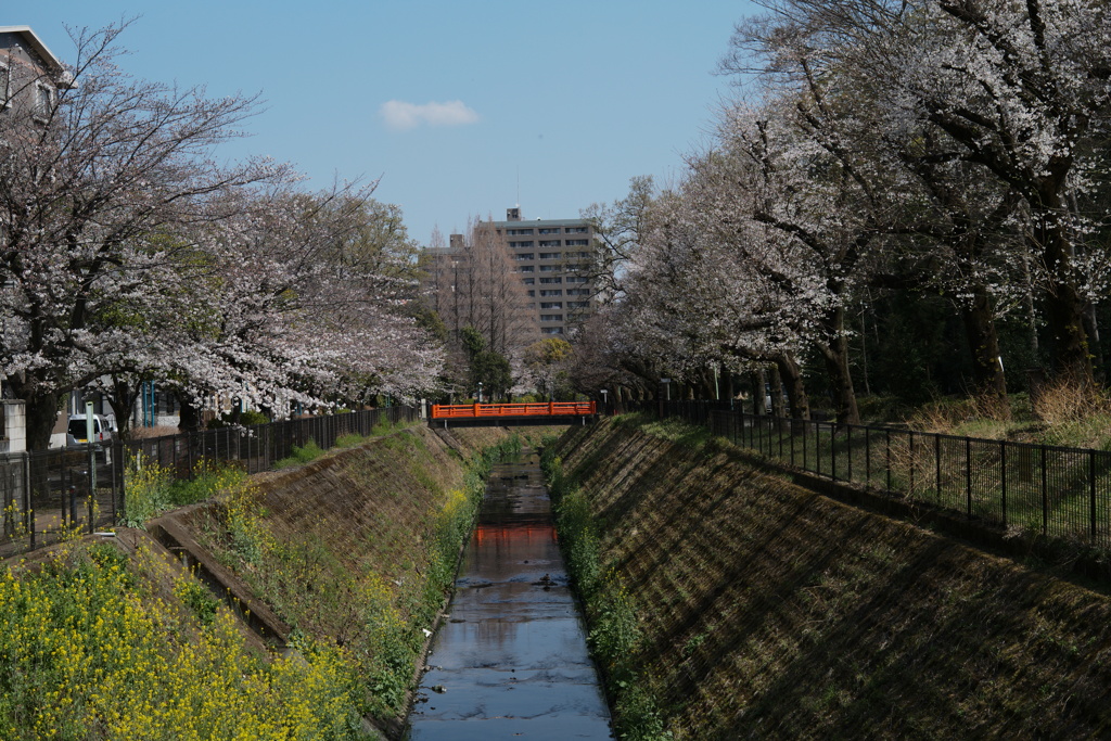 赤い橋に白い雲