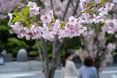 通勤路の昼