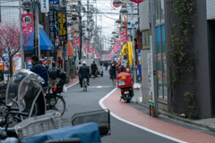 商店街　梅まつり