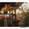 夕陽の平林寺