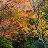 秋の室生寺