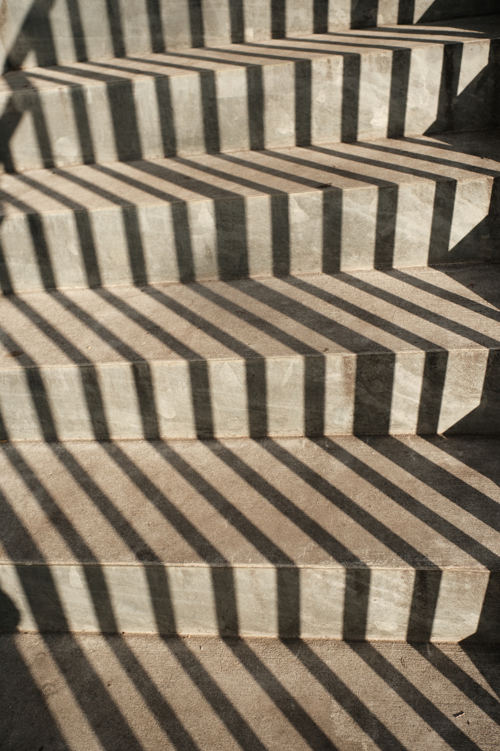 Shadow Sculpture(影の彫刻)