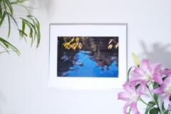 きのうの1枚に追加