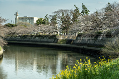 旧日光街道　草加付近