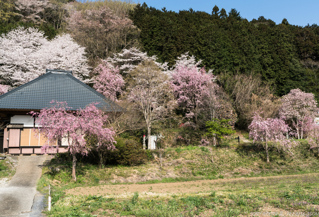 里山のお寺