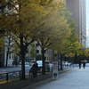 大手町　永大通り
