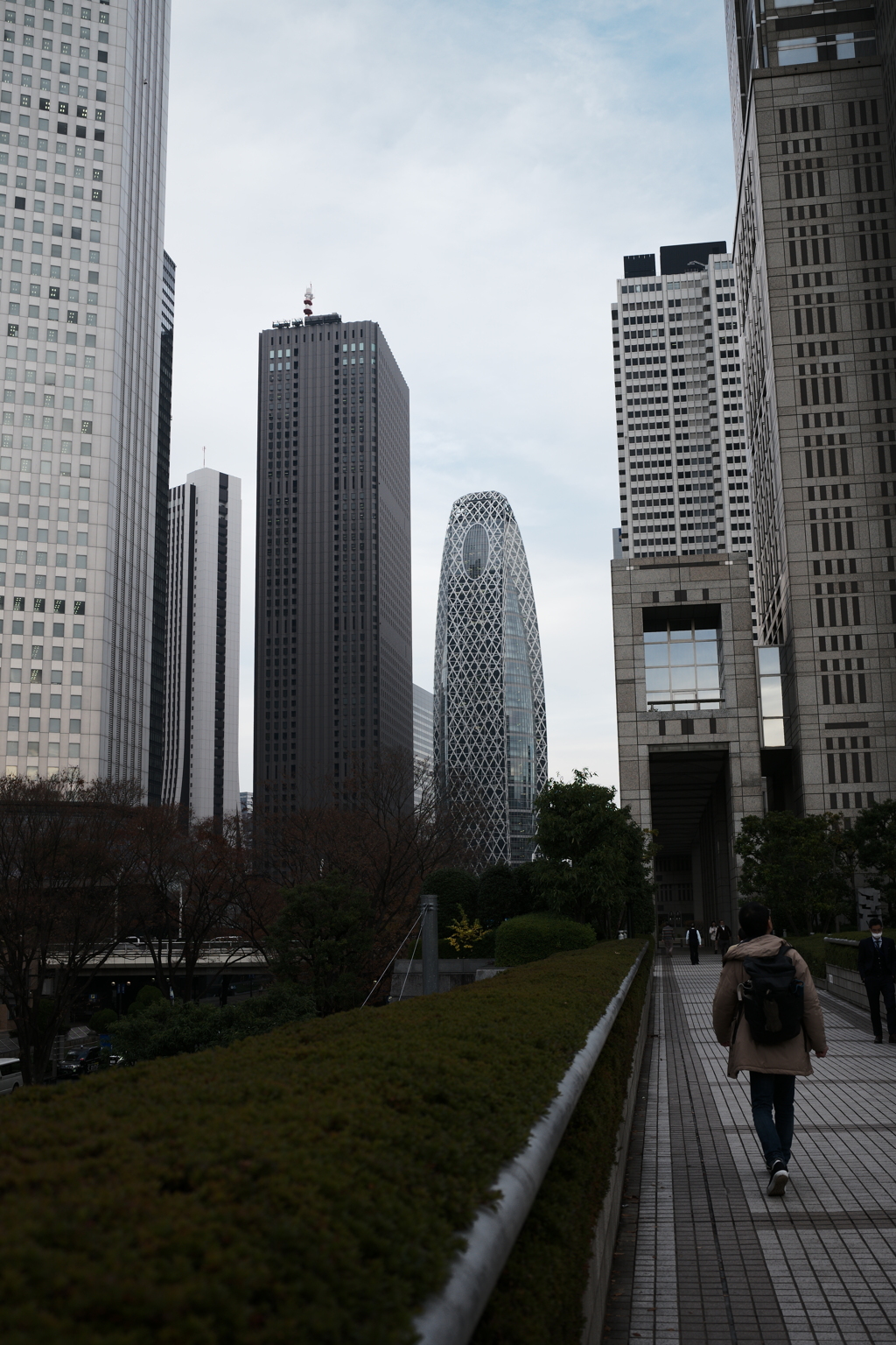 新宿散歩---都庁より駅方面を眺める