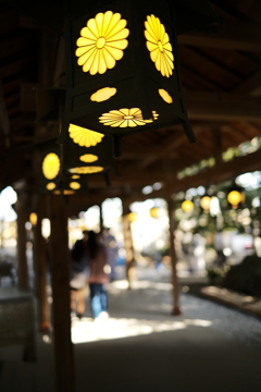 氷川神社④