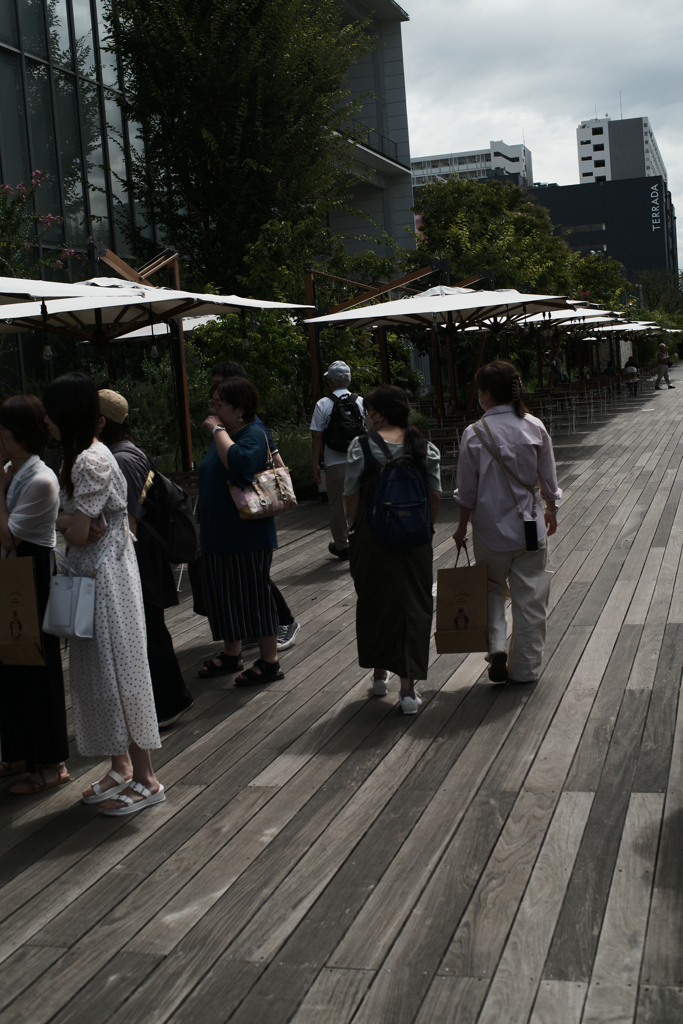 ウッドウォーク