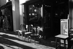 秋の長い陽がやってきた