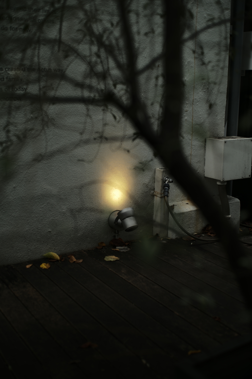 小さな秋の気配