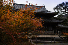 東光寺