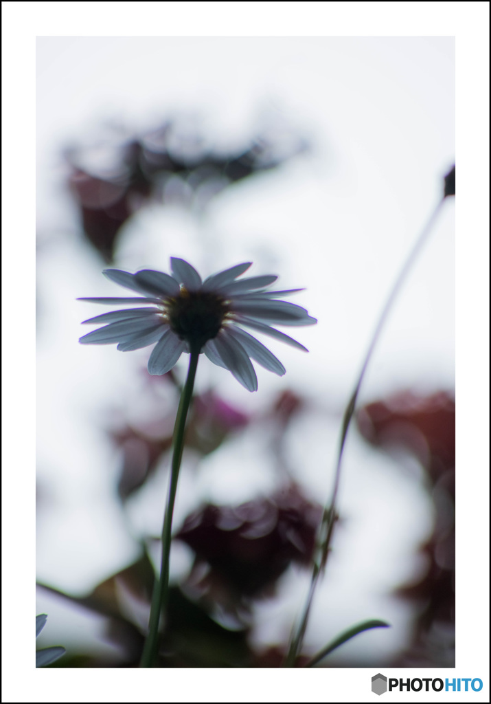 レンズワーク３題②