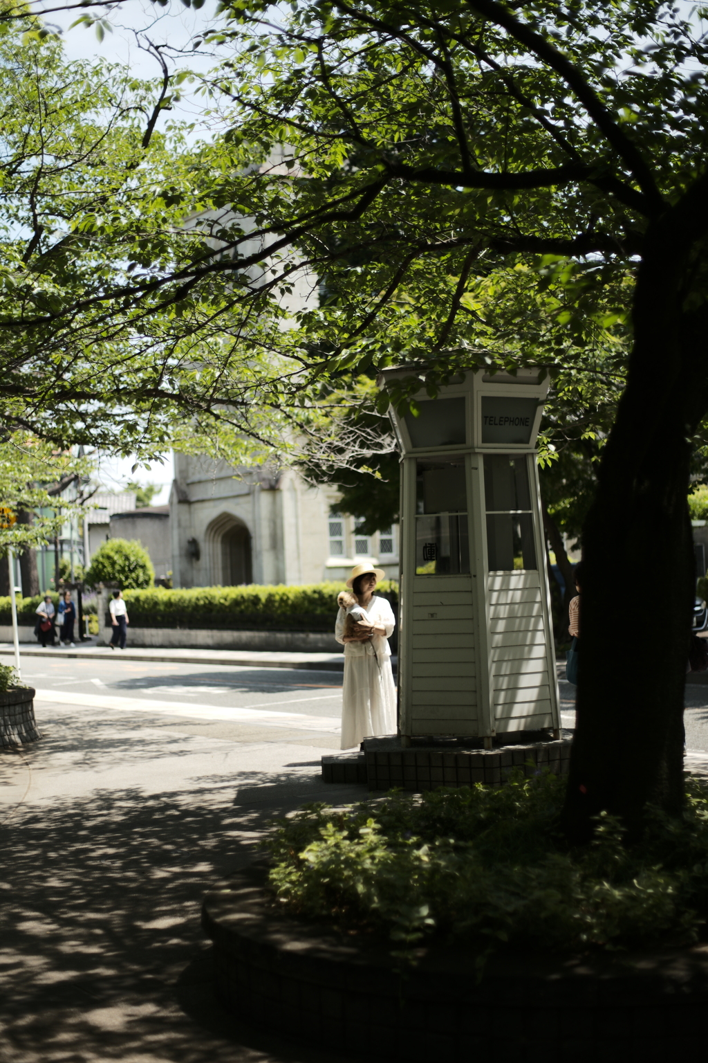 横浜山手西洋館　フォトウォーク　初夏の木陰