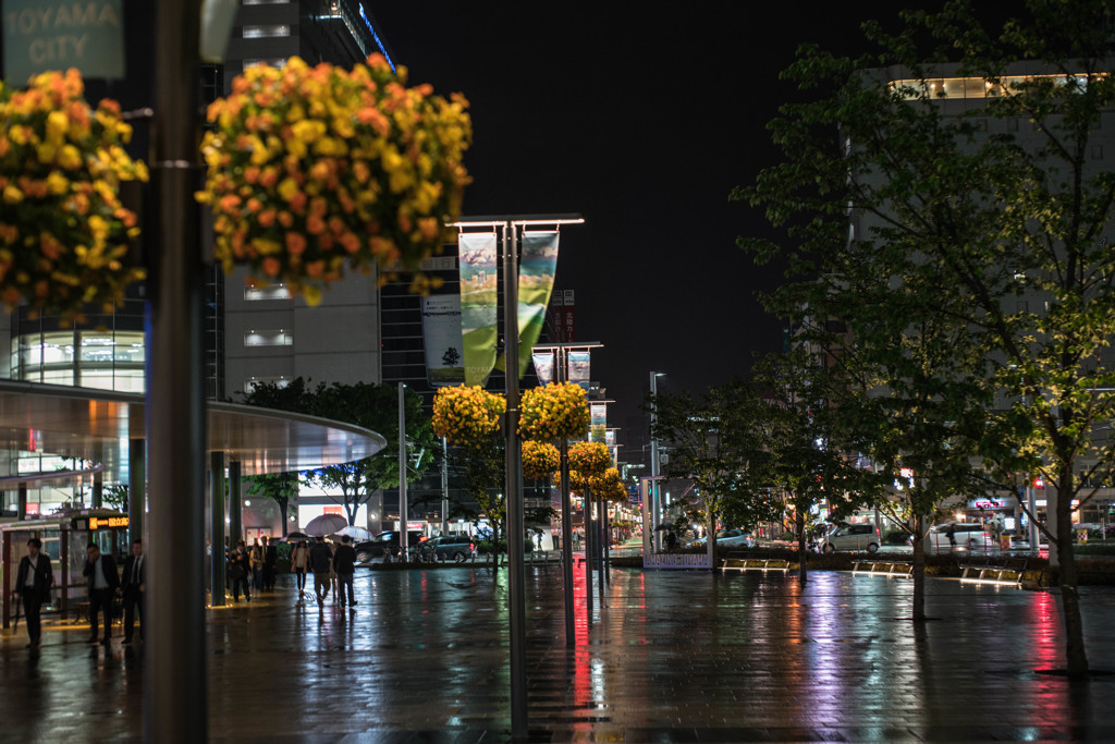 富山の雨