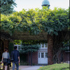 couple:大学