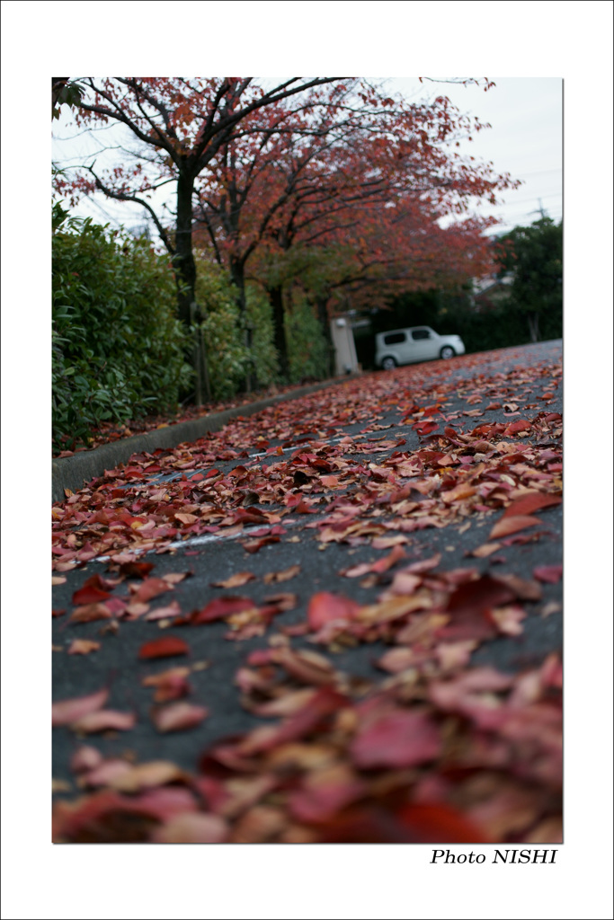 草津　ホテル（３）