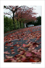 草津　ホテル（３）