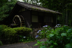 花待ち小屋