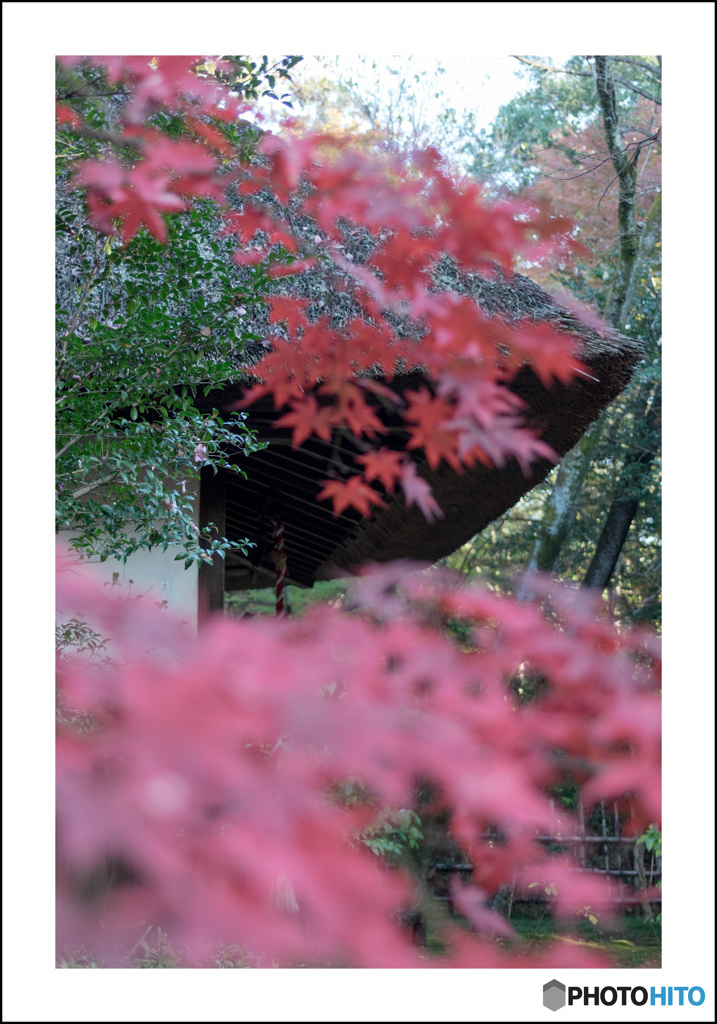 秋色平林寺③