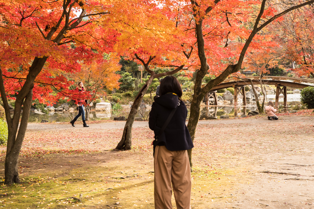 渉成園のトライアングル