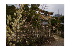 松陰神社