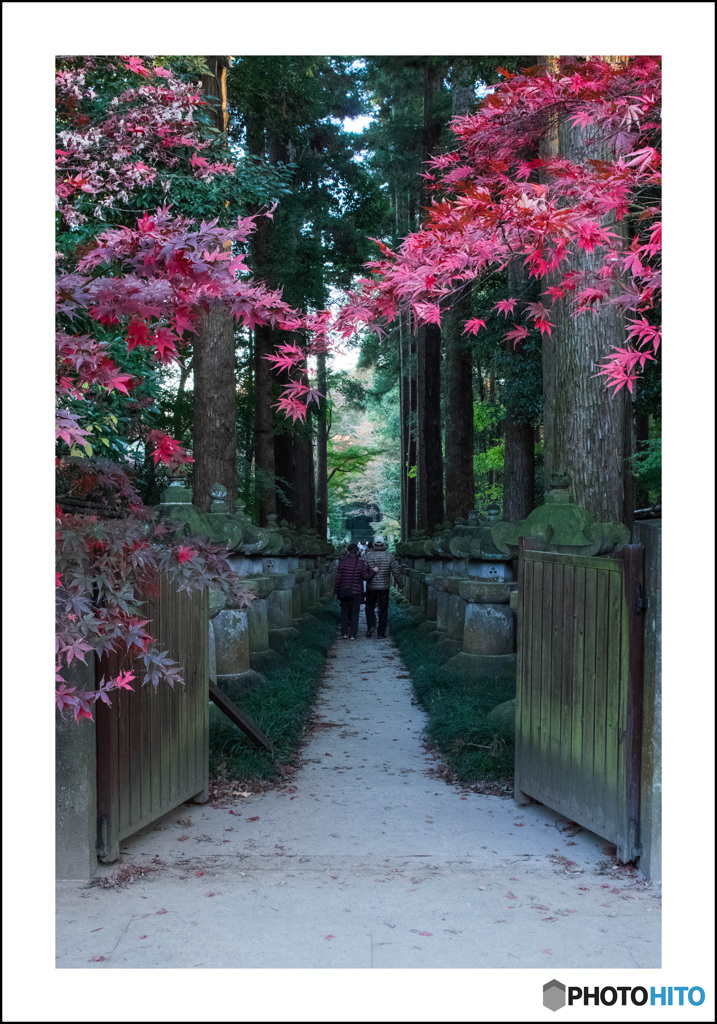 平林寺参道