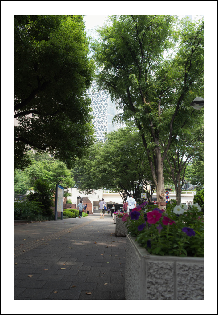 新宿西口　画角確認