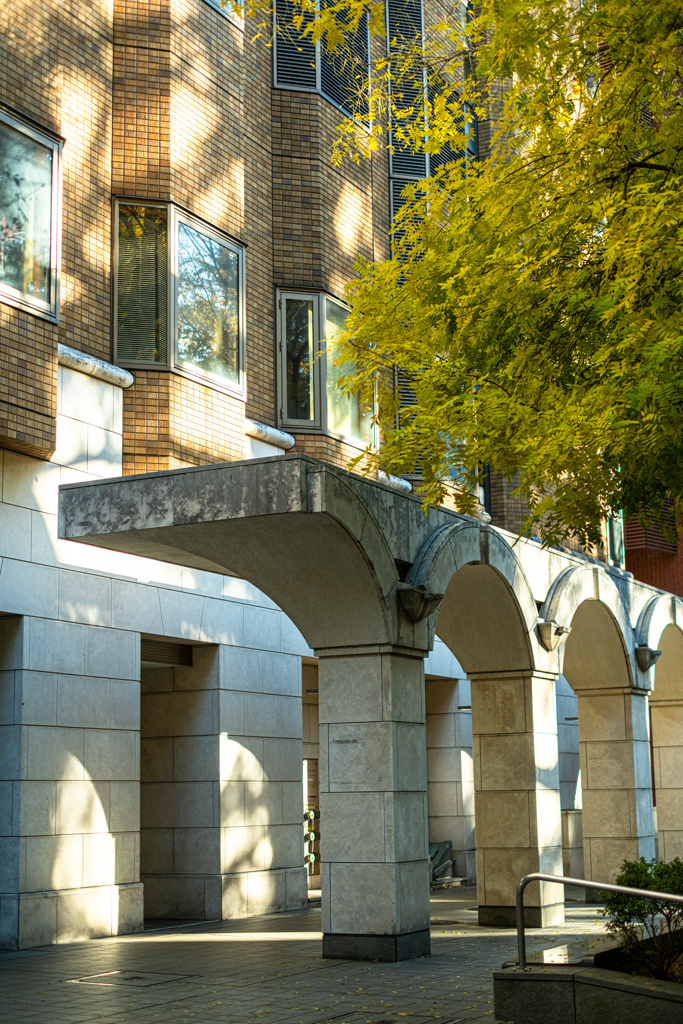 師走の陽 射す。諸行無常