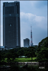 都会の公園