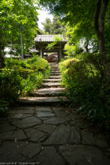 番外-慈光寺山門