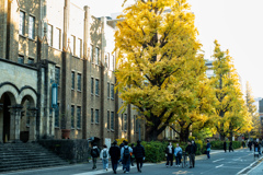 総合図書館あたり