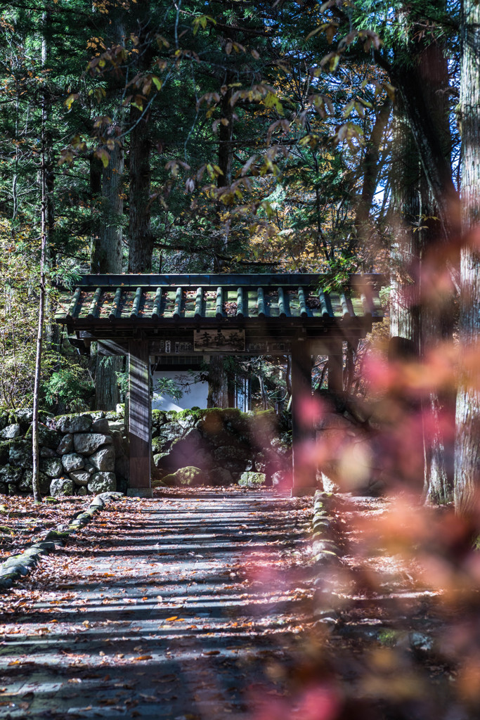 静寂の門