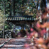 静寂の門