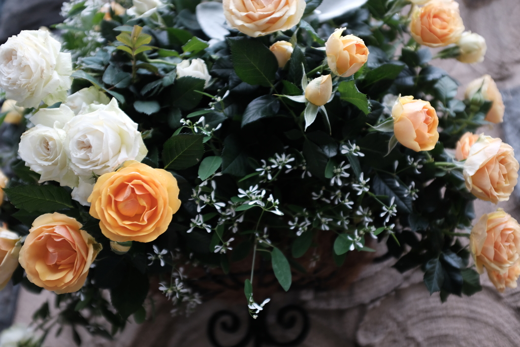 薔薇のX100F-その４花かご