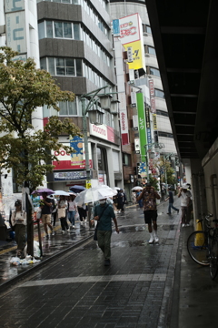 叢雨（そうう）