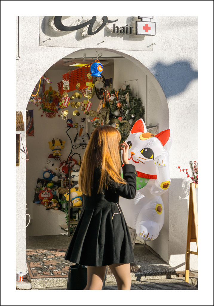 池袋の猫