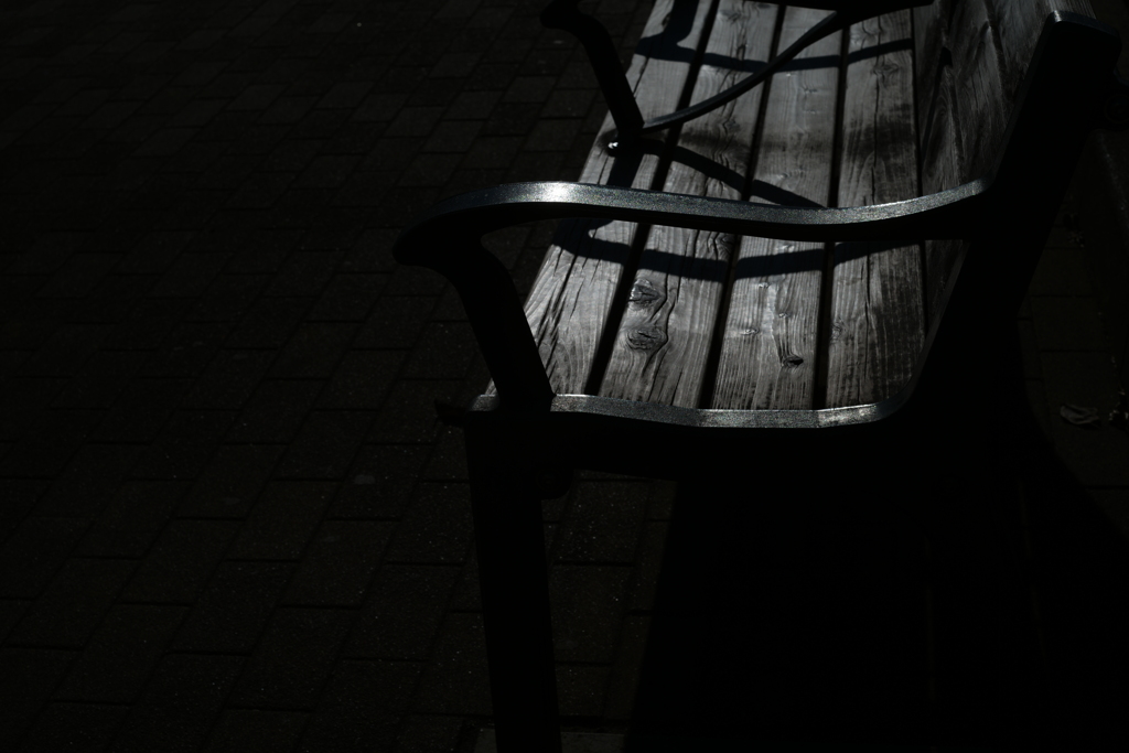 新年初散歩---好物撮影