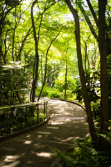 久しぶりの通勤路