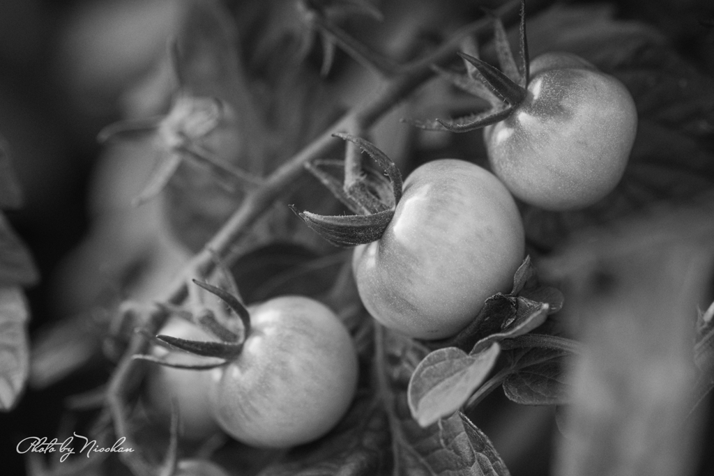 コンビニまでのACROS②