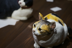 百段階段の猫ちゃん