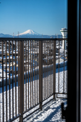 雪が降りました