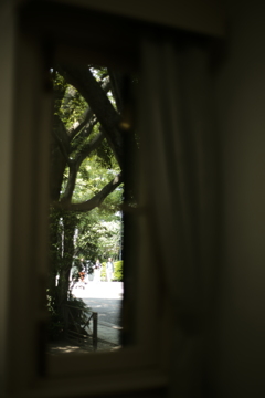 横浜山手西洋館フォトウォーク　カーテンの間より
