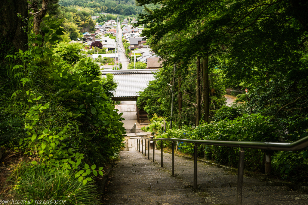 ずっと参道
