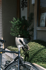 表通りの寿司屋さん