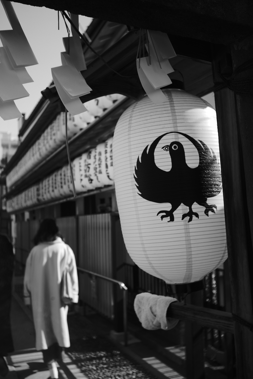 案内は八咫烏（やたがらす）