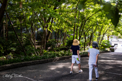 往き過ぎた 晩夏の光 朝散歩