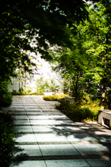 通勤路を振り返ると